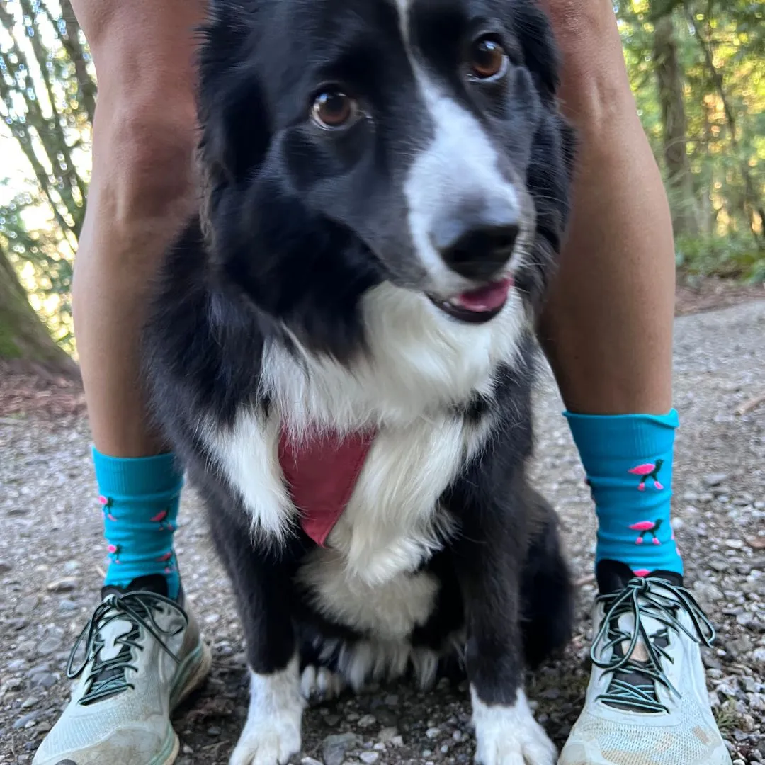 Flock-on-Sock Blue CREW