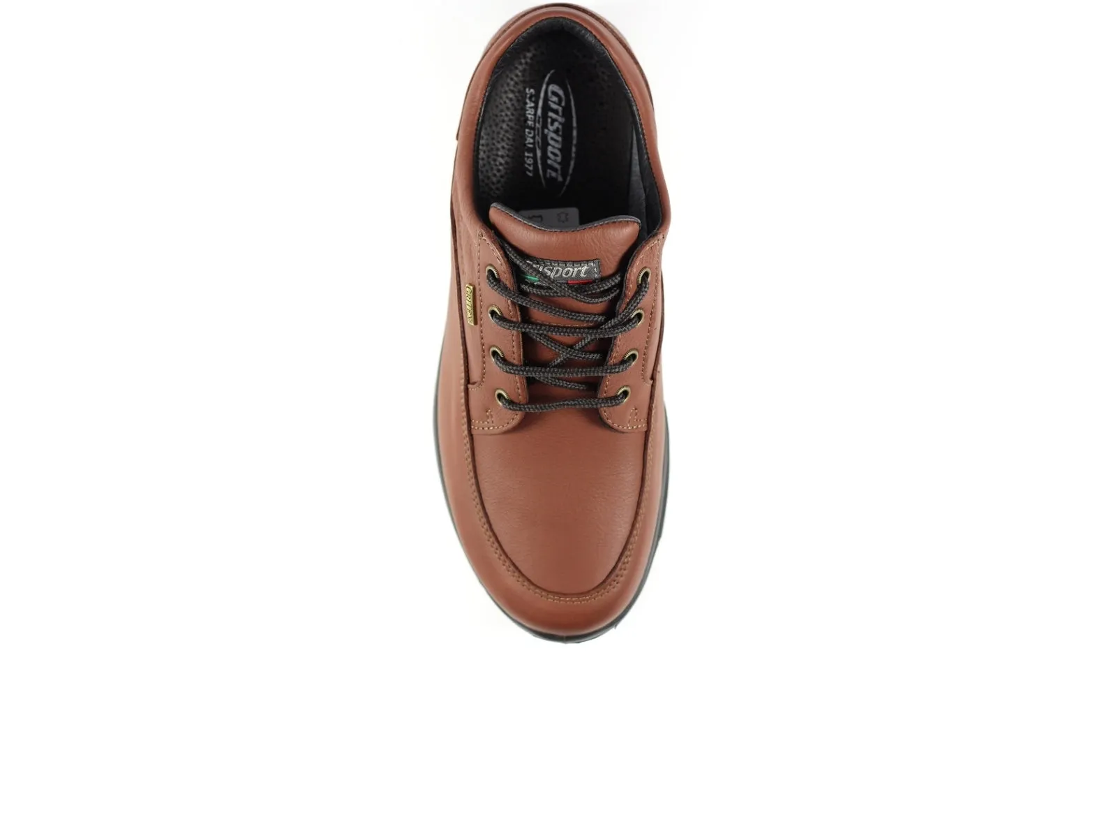 Gri Sport Livingston - Tan