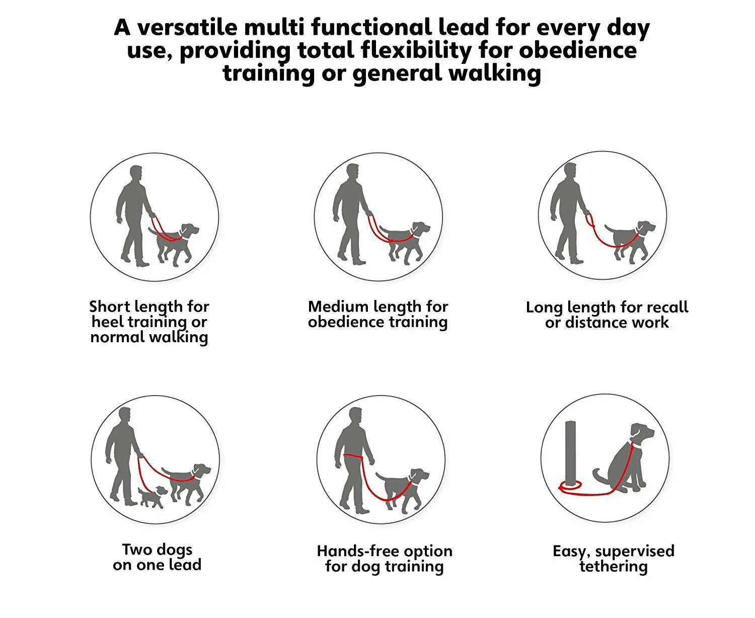 Halti red training lead - Guide Dogs recommended